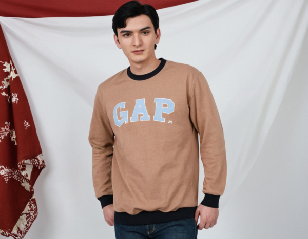 GAP-Sweatshirt